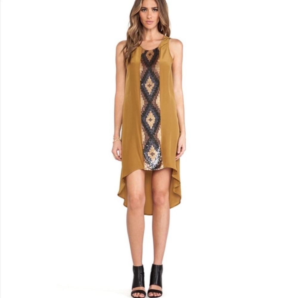 Haute Hippie Silk Dress with Sequin